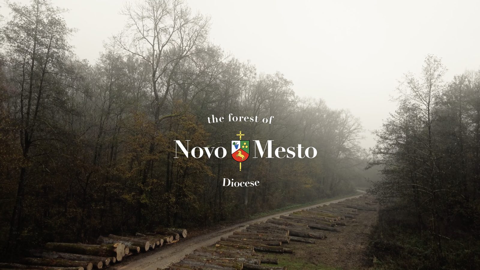 Promo video za Beneficij, drvna industrija